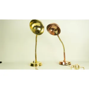 Brass and Bronze Flexible lamps