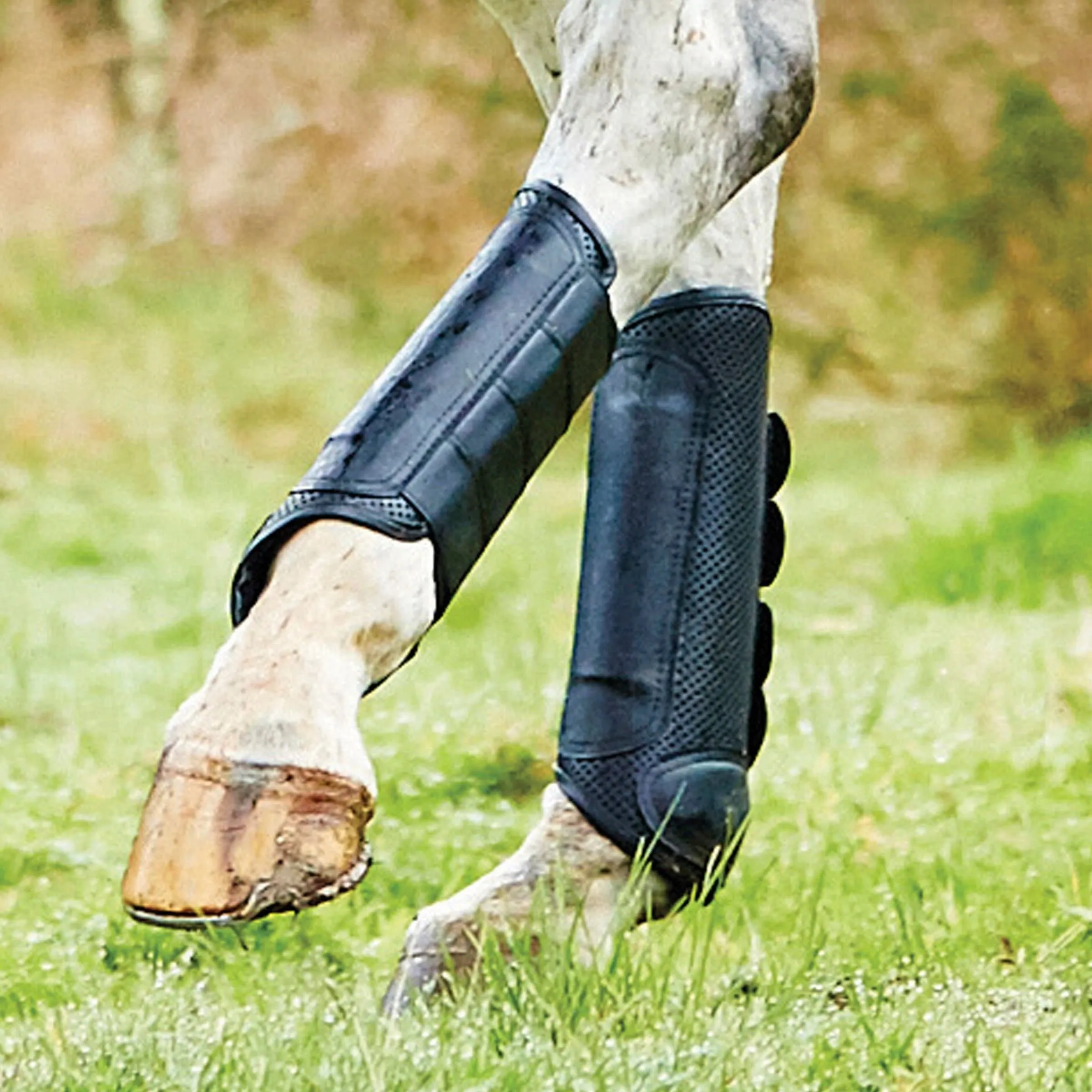 Weatherbeeta Cross Country Boots Hind